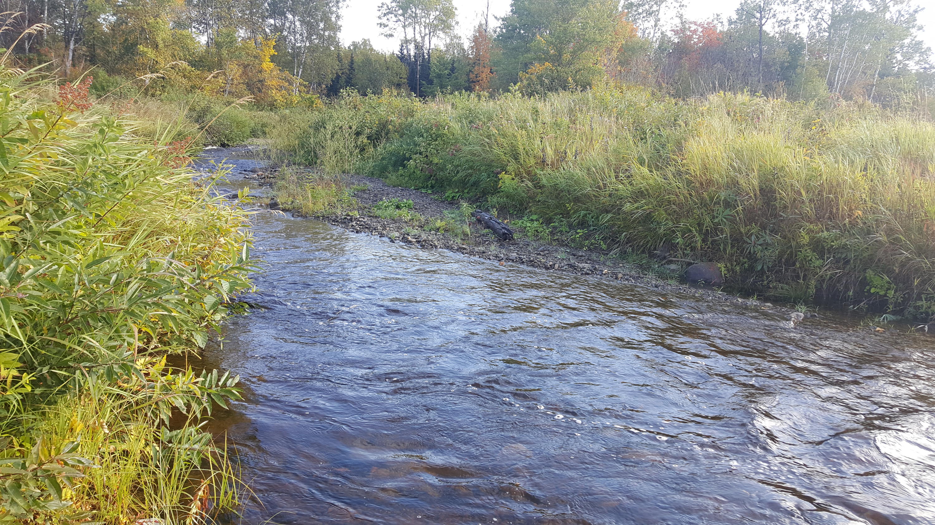 1024 Gardner Creek Road Wade, ME 04786 - Photo 11 of 58 1024 Gardner Creek Road (22)