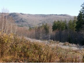 2602 Dowsville Road Duxbury, VT 05660 - Photo 10 of 14
