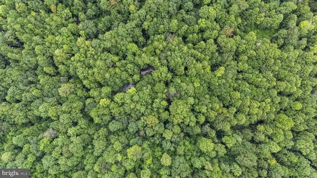 $227,500 | 69.90-acres Mahaffey Grampian Highway, Mahaffey, PA 15757