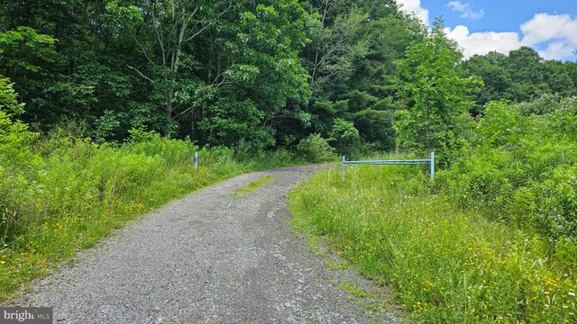$227,500 | 69.90-acres Mahaffey Grampian Highway, Mahaffey, PA 15757