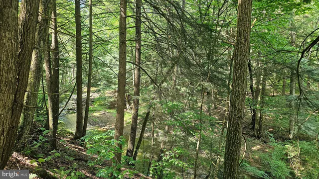 $227,500 | 69.90-acres Mahaffey Grampian Highway, Mahaffey, PA 15757