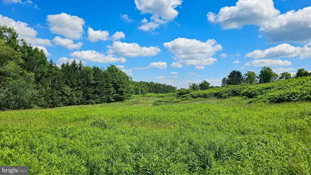 $227,500 | 69.90-acres Mahaffey Grampian Highway, Mahaffey, PA 15757