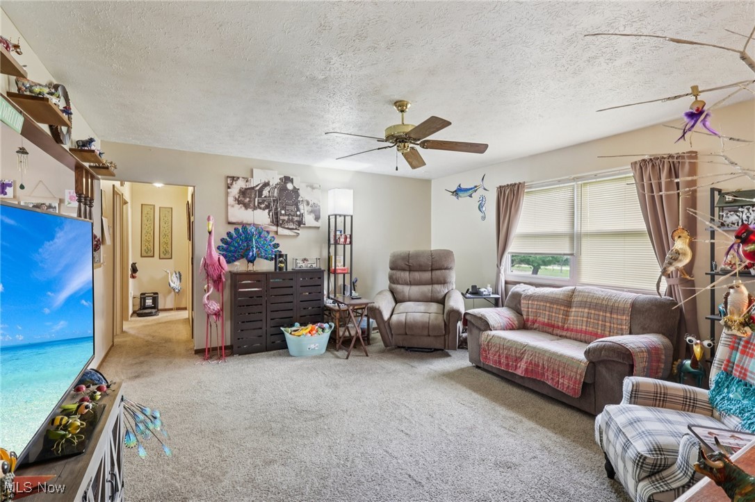 6370 Trumbull Road Geneva, OH 44041 - Photo 19 of 50 Carpeted living room with a textured ceiling and a ceiling fan