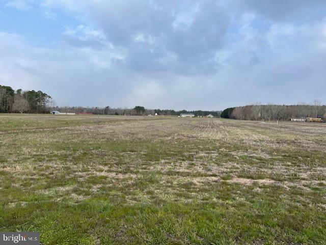 Lot 1 Bent Pine Road Willards, MD 21874 - Photo 2 of 14