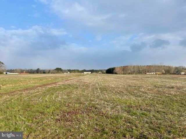 Lot 1 Bent Pine Road Willards, MD 21874 - Photo 4 of 14