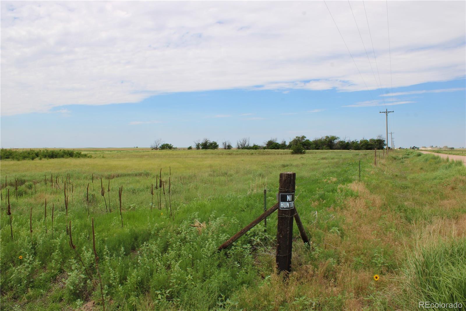 1901 County Road East Joes, CO 80822 - Photo 20 of 36