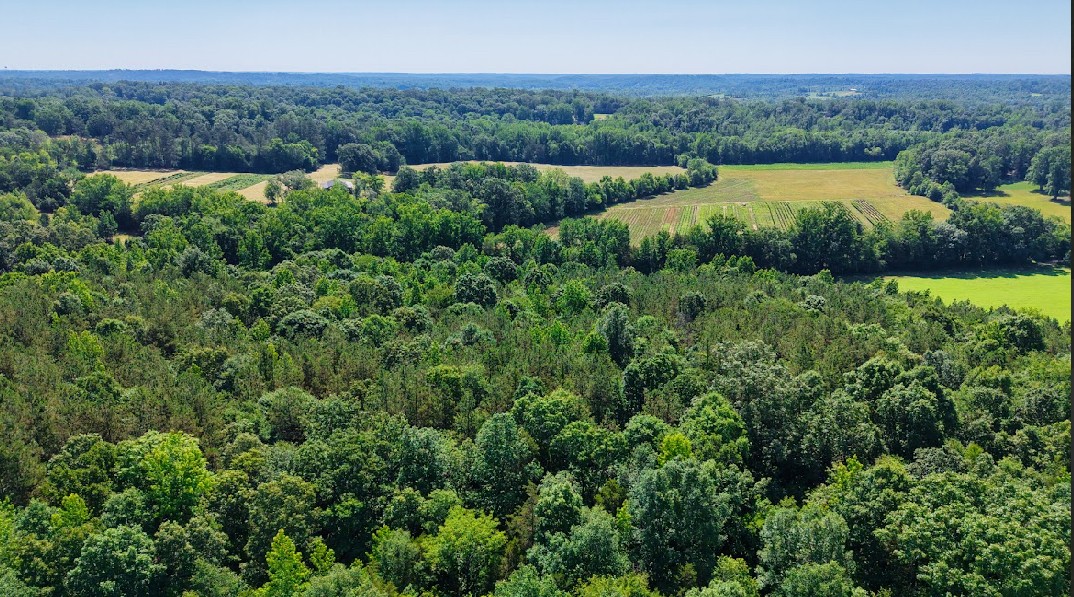 0 Beech Ridge Road Parsons, TN 38363 - Photo 7 of 14
