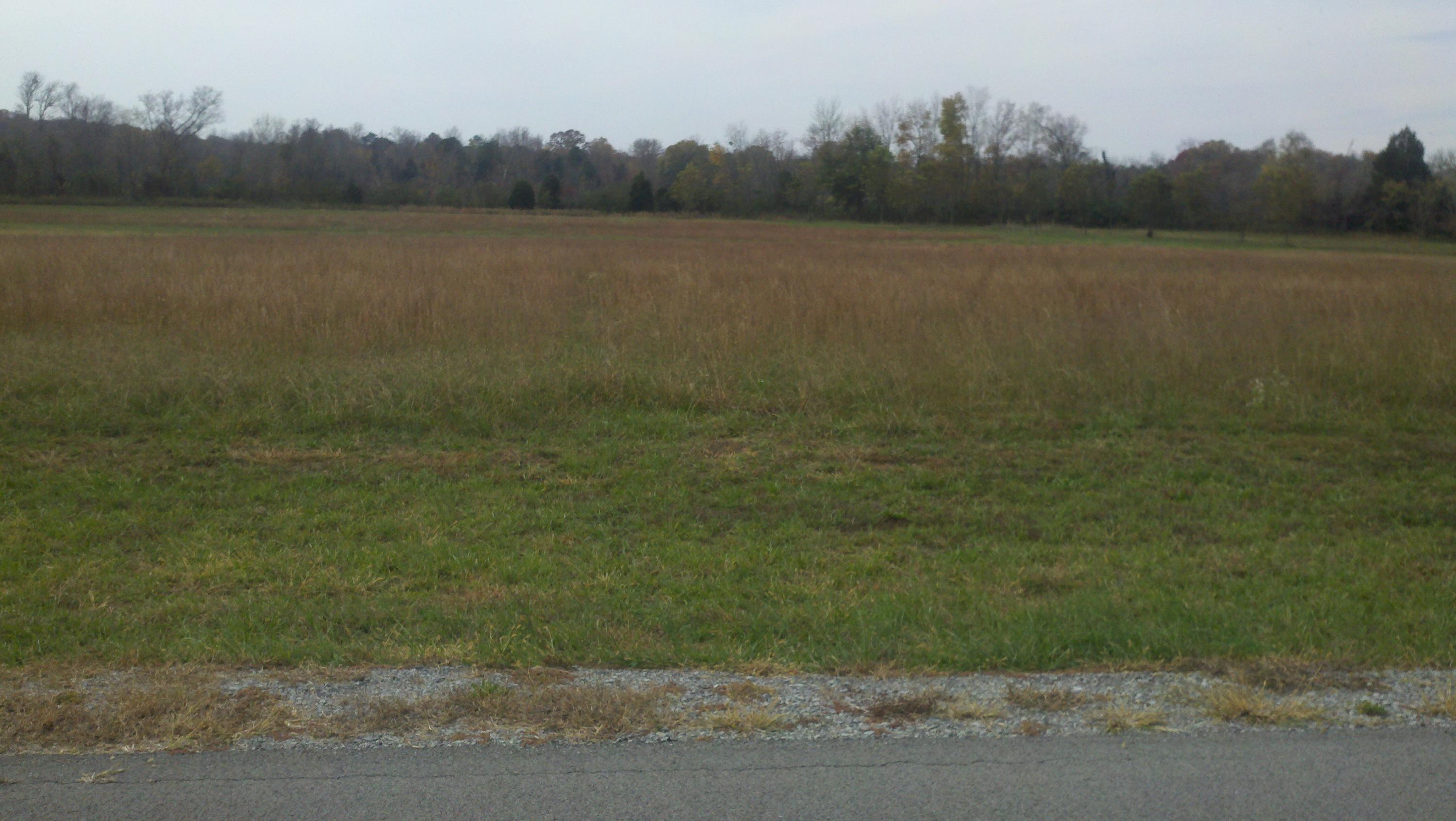 49 Espalier Drive, Unit 49 Decatur, TN 37322 - Photo 2 of 12 2012-11-04_12-08-30_182
