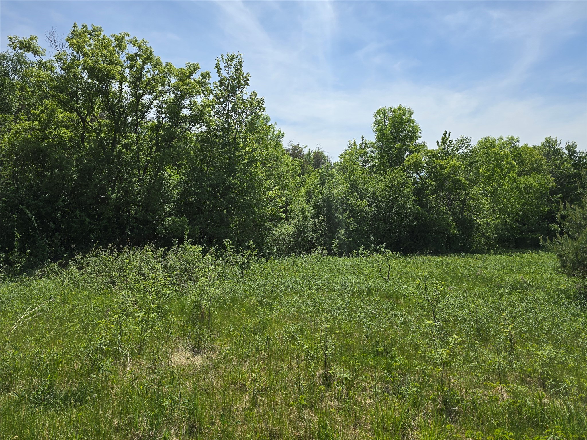 0 27th Street Chetek, WI 54728 - Photo 2 of 10