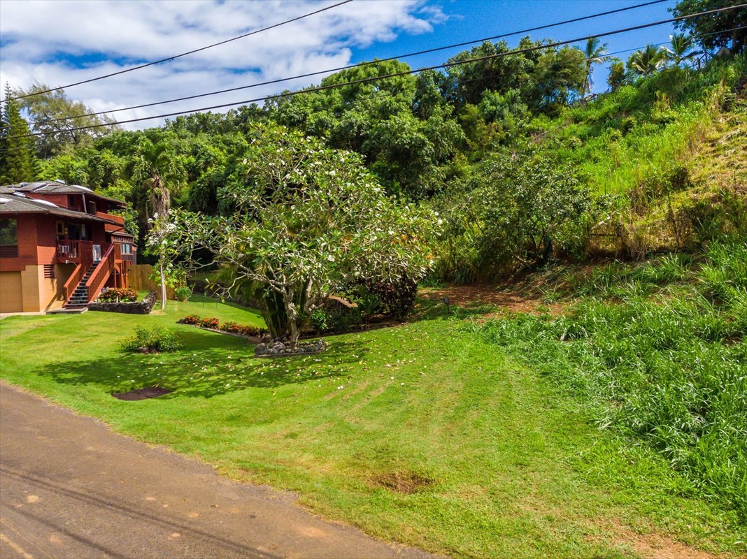 Aliali Road, Unit 5 Kapaa, HI 96746 - Photo 1 of 11 a view of a backyard with plants and a patio