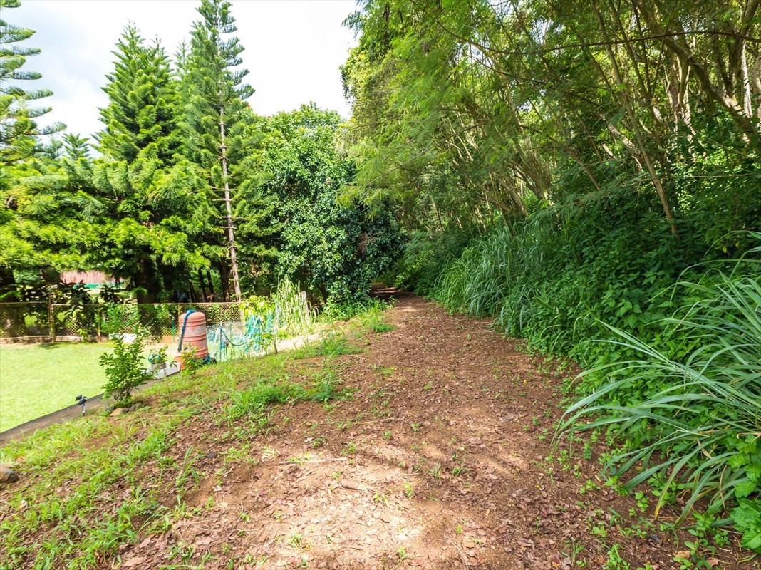 Aliali Road, Unit 5 Kapaa, HI 96746 - Photo 8 of 11 a view of a park with large trees