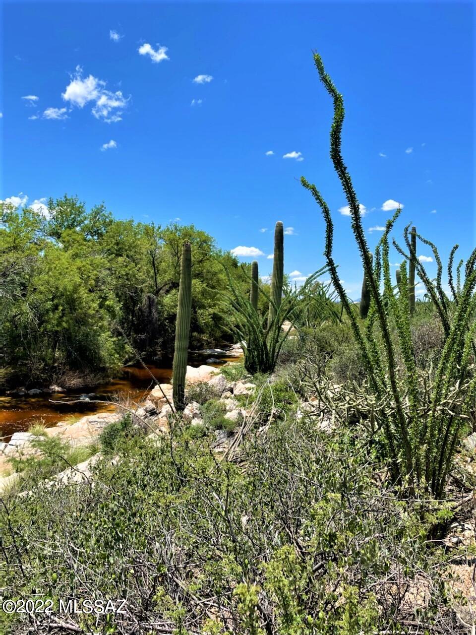 14770 East Redington Road Tucson, AZ 85749 - Photo 16 of 31