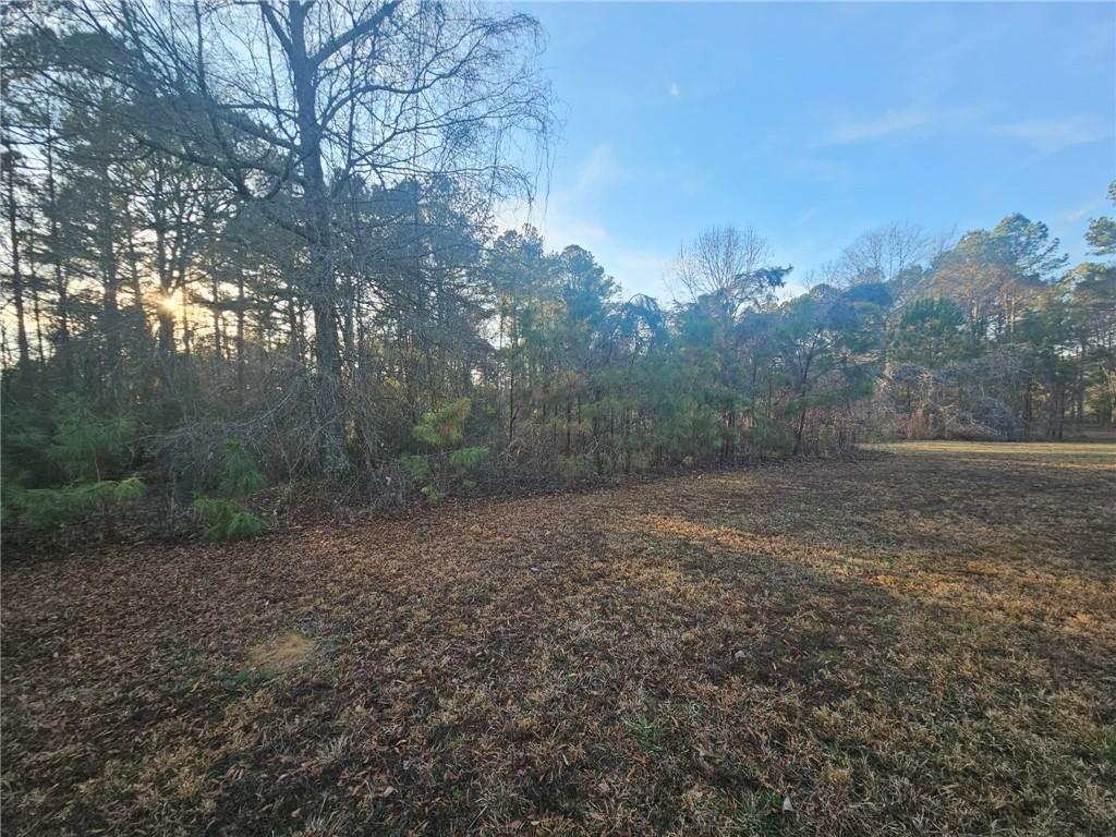 873 East Point Road Cedartown, GA 30125 - Photo 11 of 22