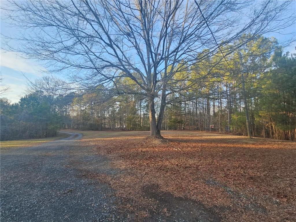 873 East Point Road Cedartown, GA 30125 - Photo 12 of 22