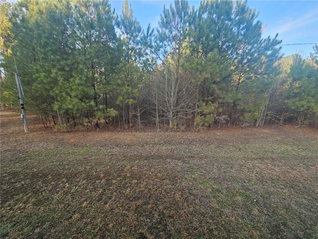 873 East Point Road Cedartown, GA 30125 - Photo 13 of 22