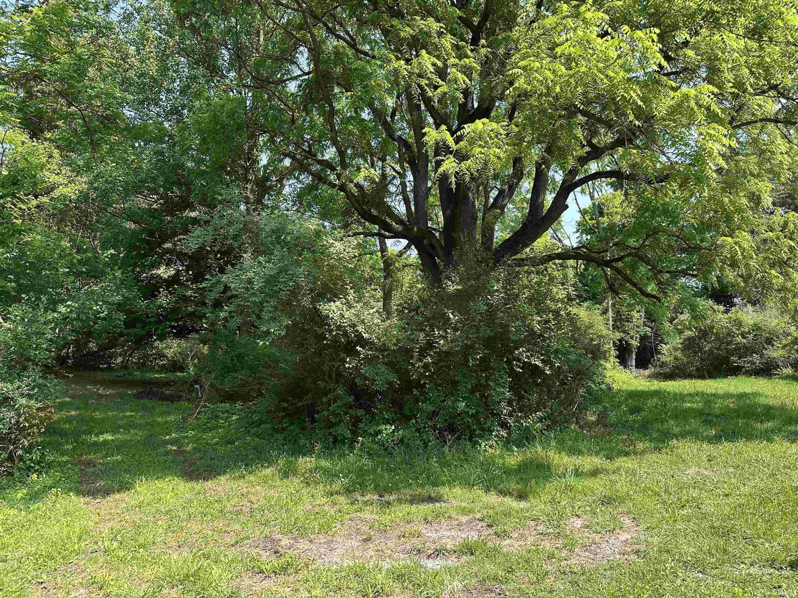 1233 North Mexico Road Peru, IN 46970 - Photo 7 of 13