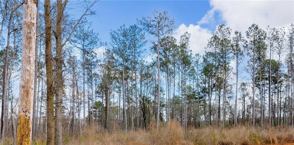 1660 Watkins Farm Road Nicholson, GA 30565 - Photo 12 of 14 Gallery Image 12