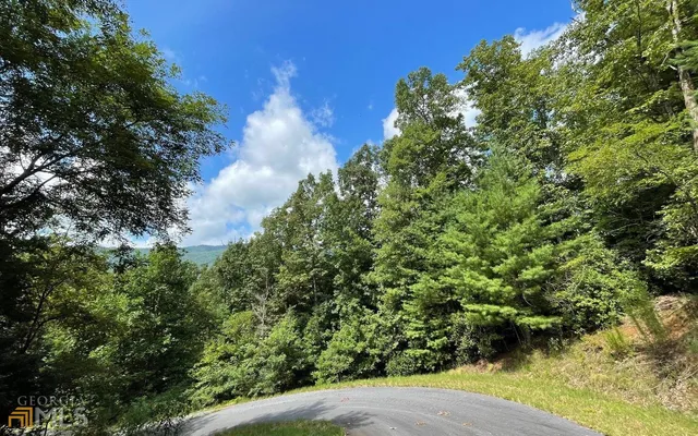 a view of a yard with plants and a tree