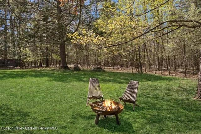 a view of a garden with plants and trees