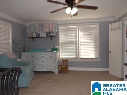 3645 County Road 12 Oneonta, AL 35121 - Photo 32 of 50