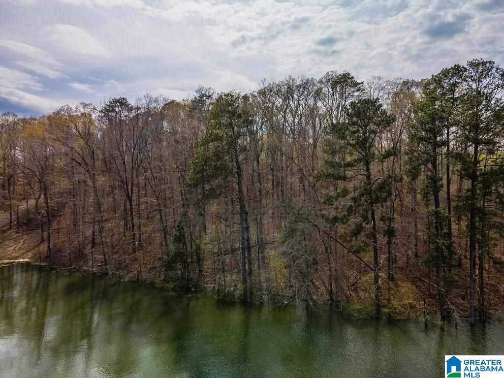 Smith Lake Dam Road Jasper, AL 35504 - Photo 10 of 15