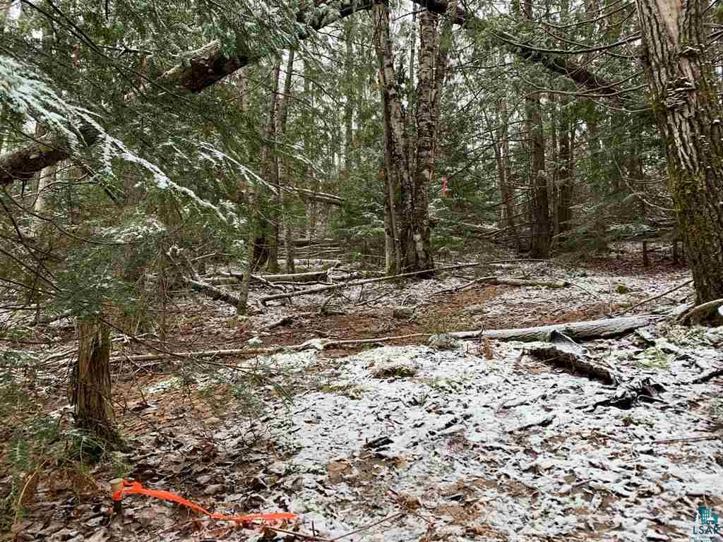 Lot 3 Blue Wing Bay Road Bayfield, WI 54814 - Photo 1 of 8 Gallery Image 1