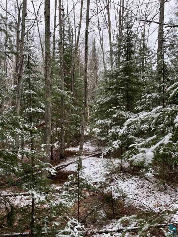 Lot 3 Blue Wing Bay Road Bayfield, WI 54814 - Photo 3 of 8 Gallery Image 3