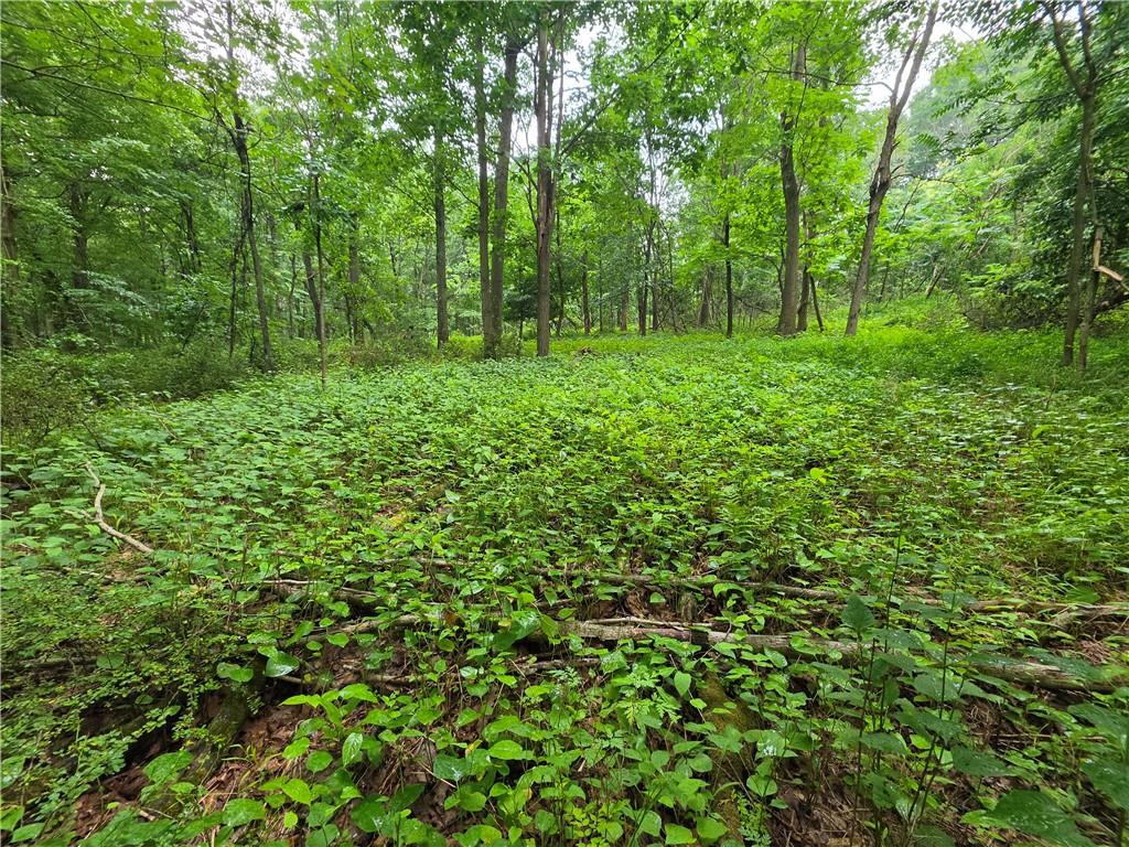 0 Mudlick Hollow Road Beaver, PA 15009 - Photo 5 of 18 Gallery Image 5