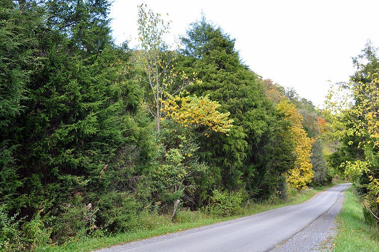 100 Back Creek Road Peterstown, WV 24963 - Photo 28 of 29 Gallery Image 28