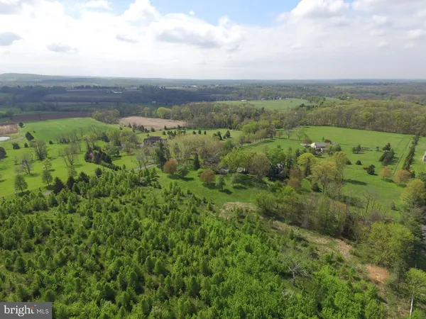 a view of a green field with lots of bushes