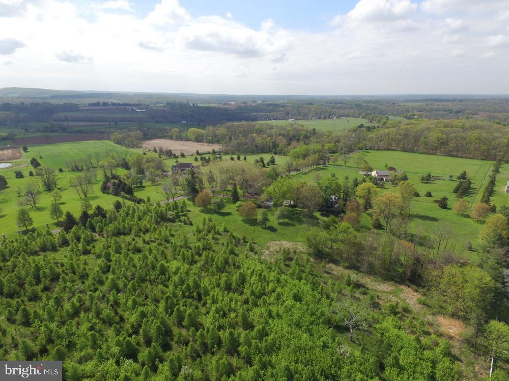 5736 Stoney Hill Road New Hope, PA 18938 - Photo 4 of 22 a view of a green field with lots of bushes