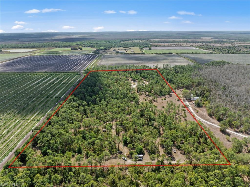 20601 Estero Pines Road Estero, FL 33928 - Photo 3 of 8 a view of a yard with an outdoor space