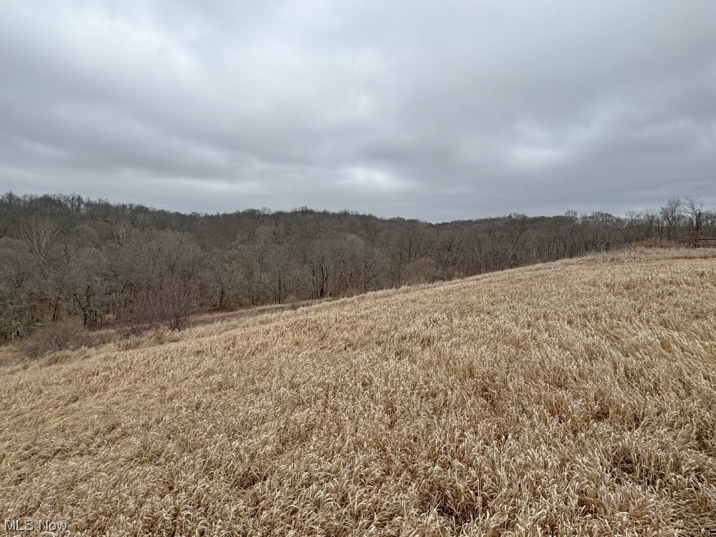 1357 Sand Ridge Road Zanesville, OH 43701 - Photo 25 of 50 View of mother earth's splendor