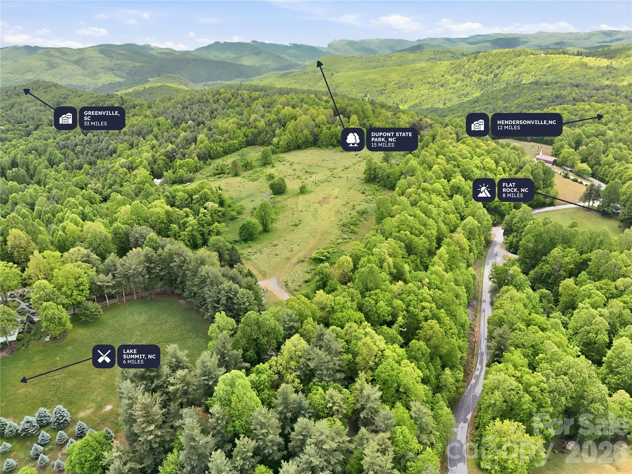 4105 Pinnacle Mountain Road Zirconia, NC 28790 - Photo 2 of 23 a view of a lush green field with lots of trees