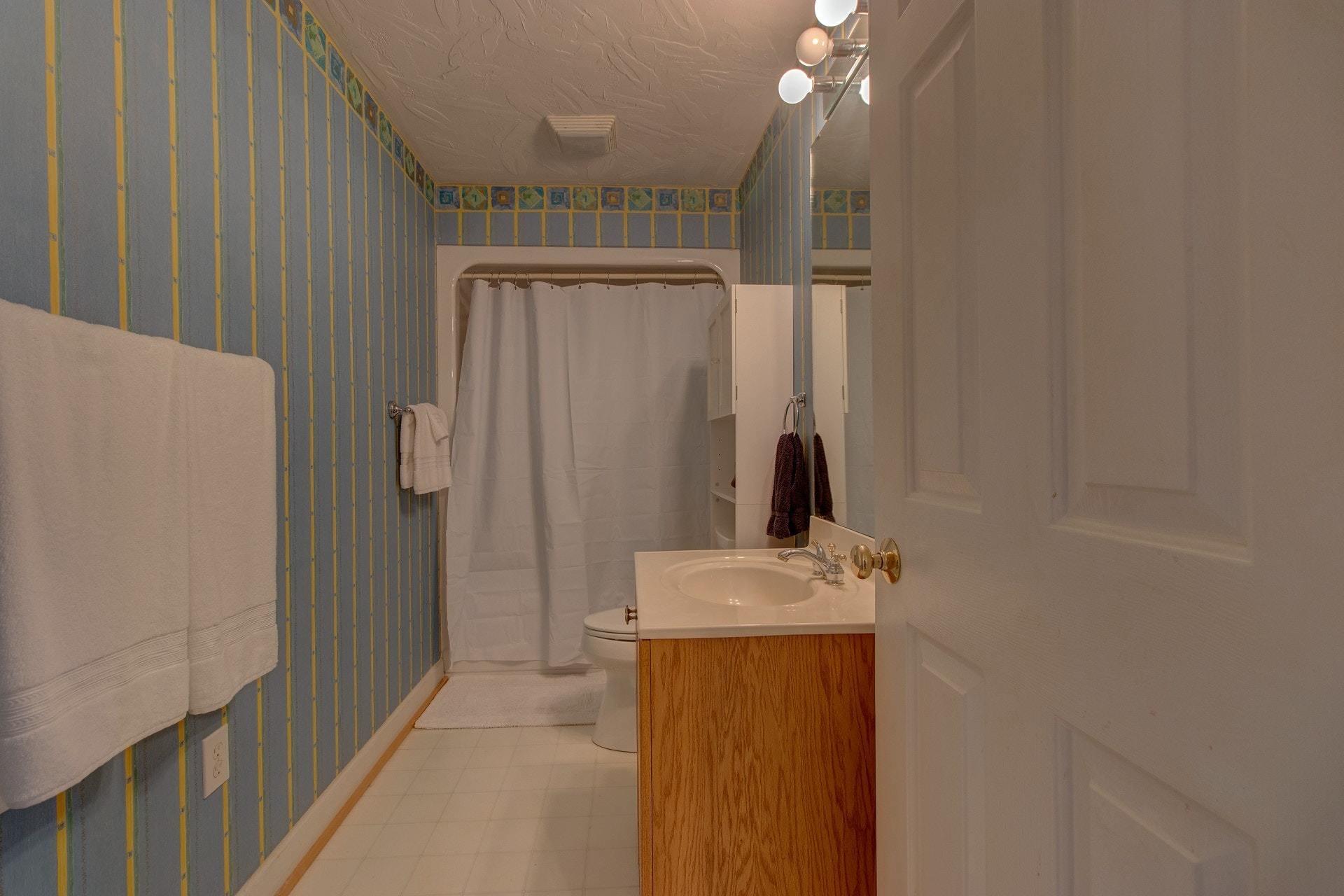 600 Dugwell Road Boones Mill, VA 24065 - Photo 16 of 78 a bathroom with a light fixture a mirror and a shower