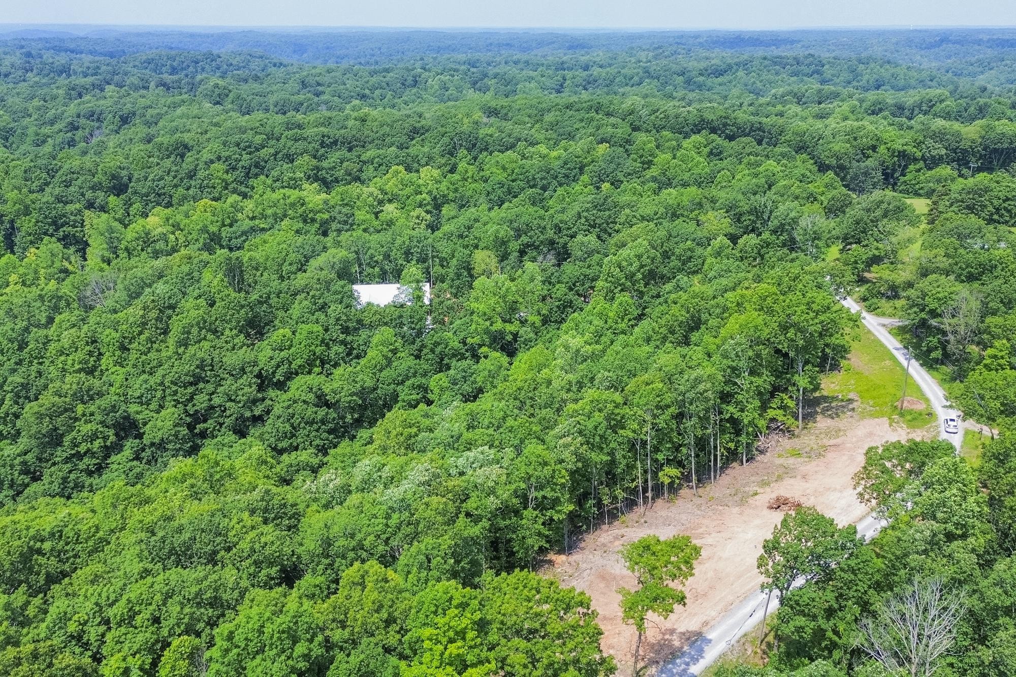 5590 Higdon Road Joelton, TN 37080 - Photo 13 of 40 a view of a lush green forest with lots of trees