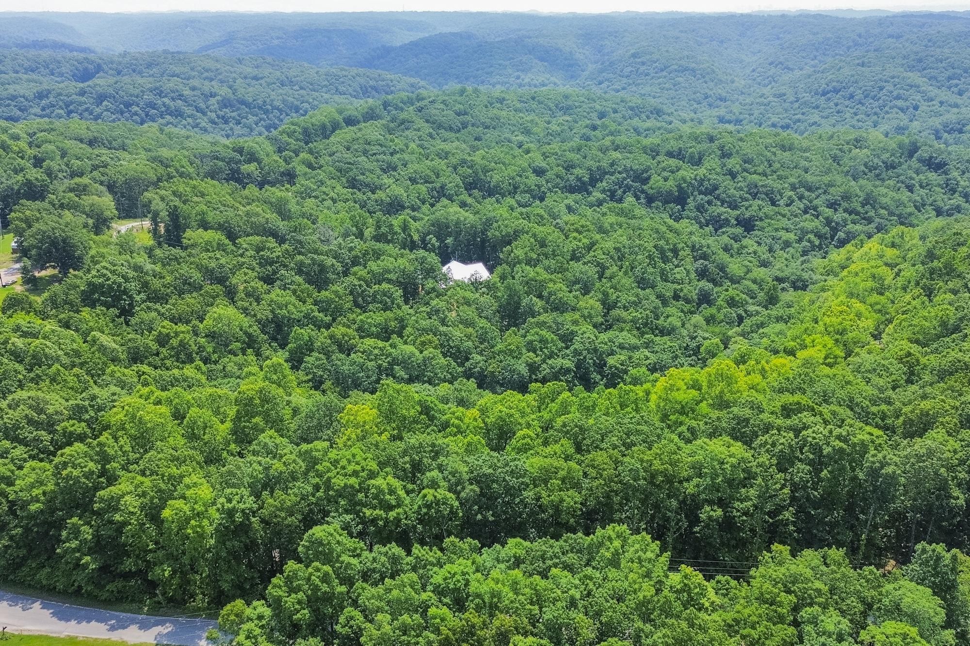 5590 Higdon Road Joelton, TN 37080 - Photo 18 of 40 a view of a lush green forest with trees and some houses