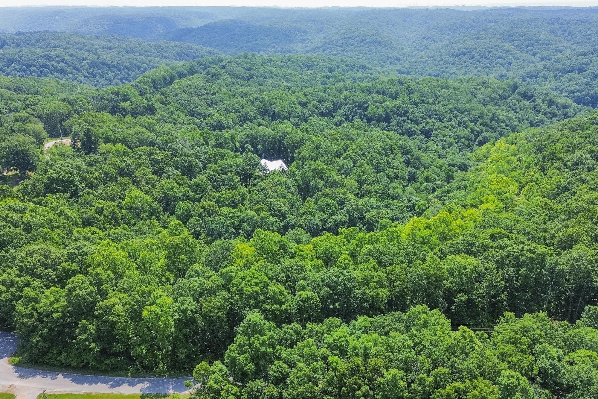 5590 Higdon Road Joelton, TN 37080 - Photo 19 of 40 a view of a lush green forest with trees and some houses