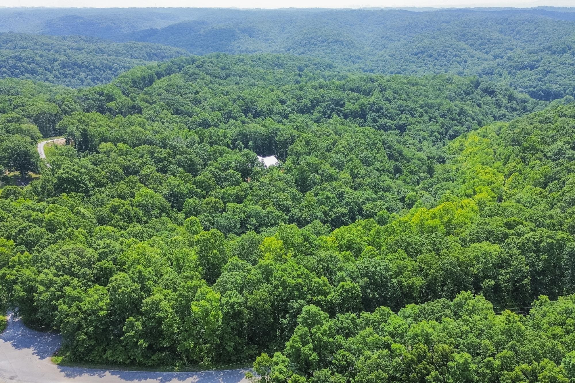5590 Higdon Road Joelton, TN 37080 - Photo 20 of 40 a view of a lush green forest with trees and some houses