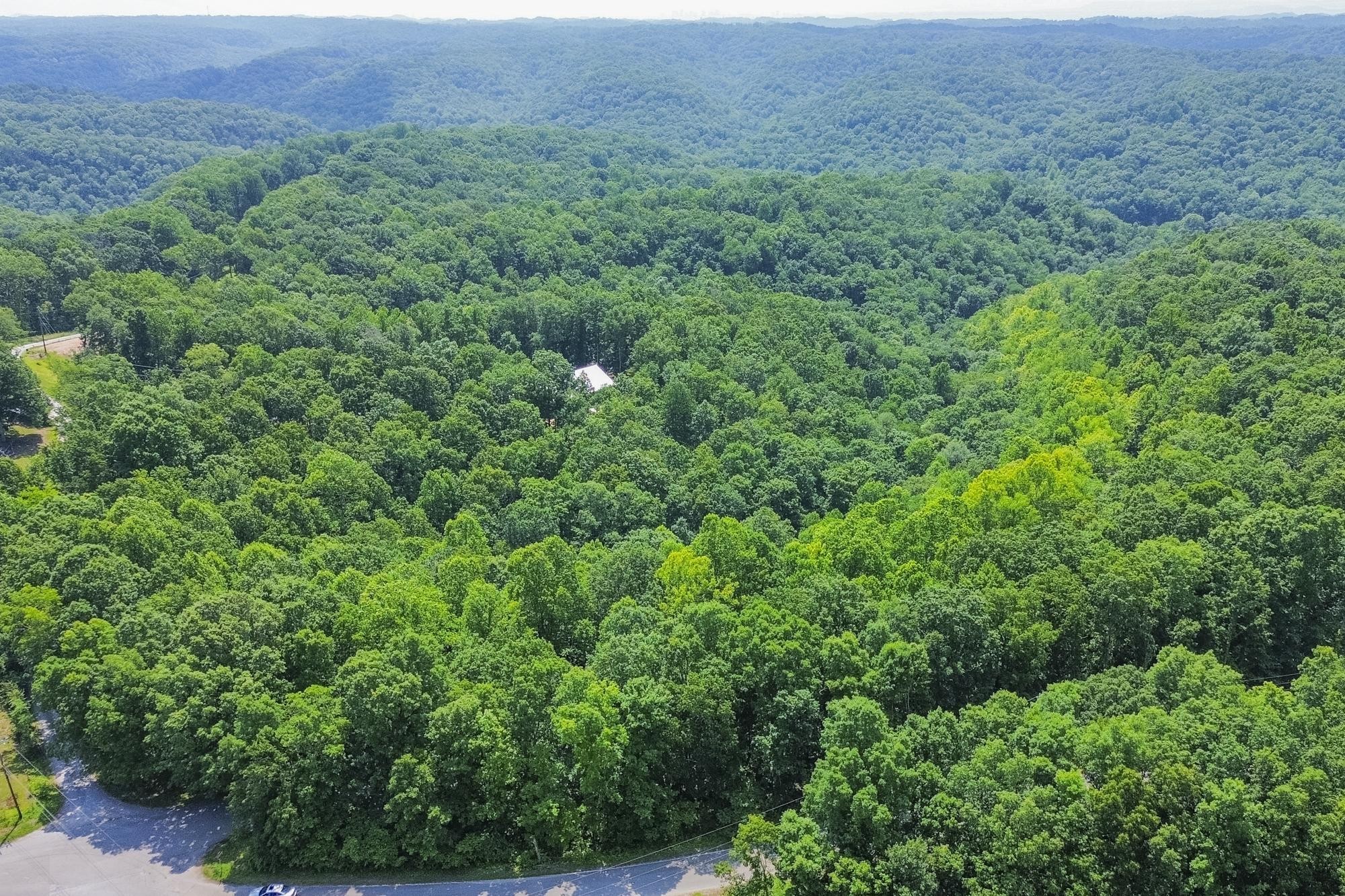 5590 Higdon Road Joelton, TN 37080 - Photo 21 of 40 a view of a lush green forest with trees and some houses
