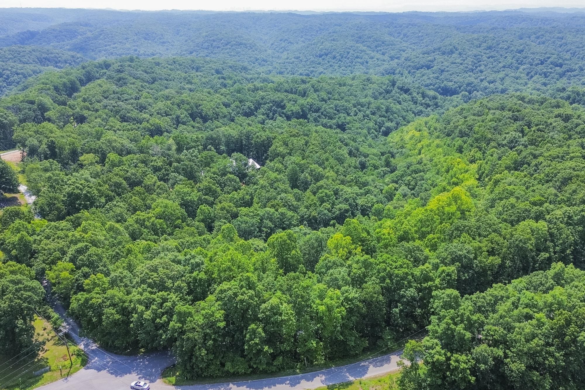 5590 Higdon Road Joelton, TN 37080 - Photo 22 of 40 a view of a lush green forest with trees and some houses