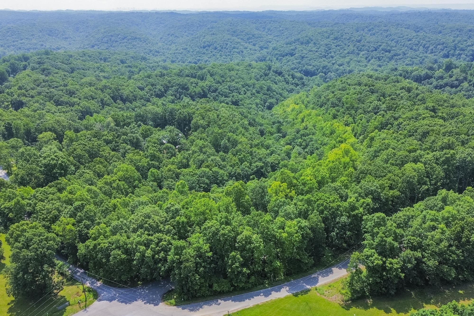 5590 Higdon Road Joelton, TN 37080 - Photo 23 of 40 a view of a lush green space
