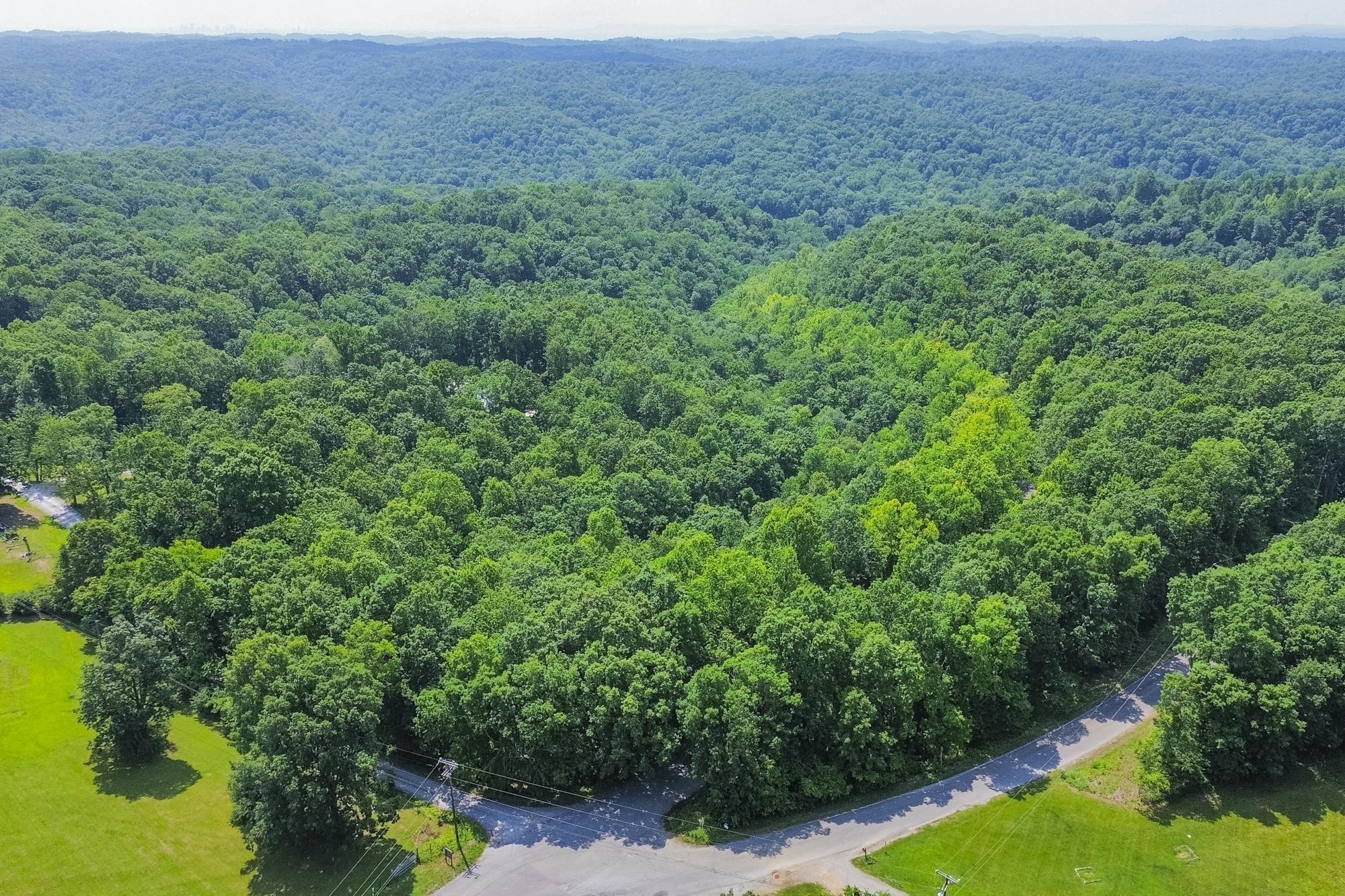 5590 Higdon Road Joelton, TN 37080 - Photo 24 of 40 a view of a lush green forest with trees and some houses