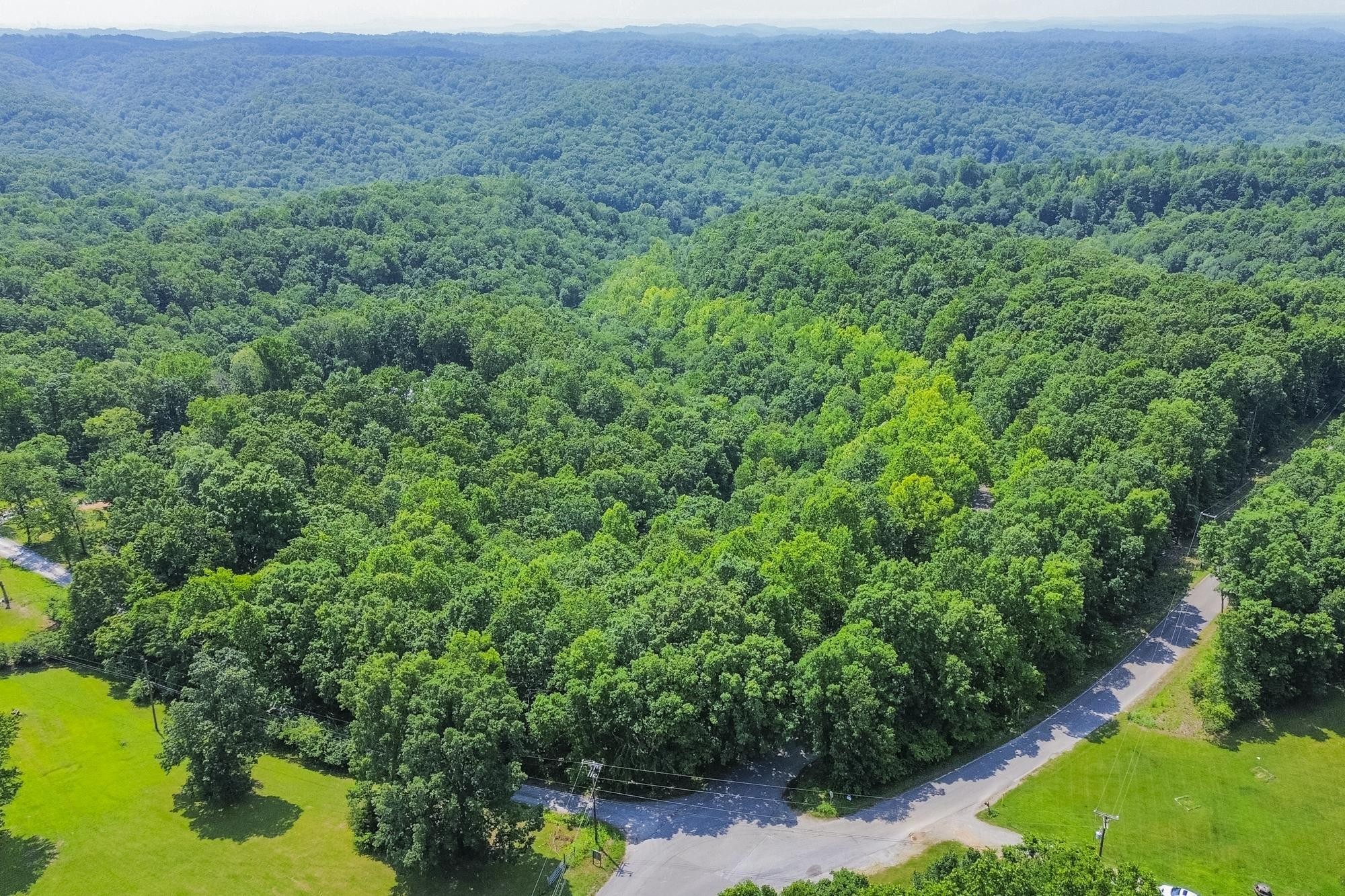 5590 Higdon Road Joelton, TN 37080 - Photo 25 of 40 a view of a lush green forest with large trees