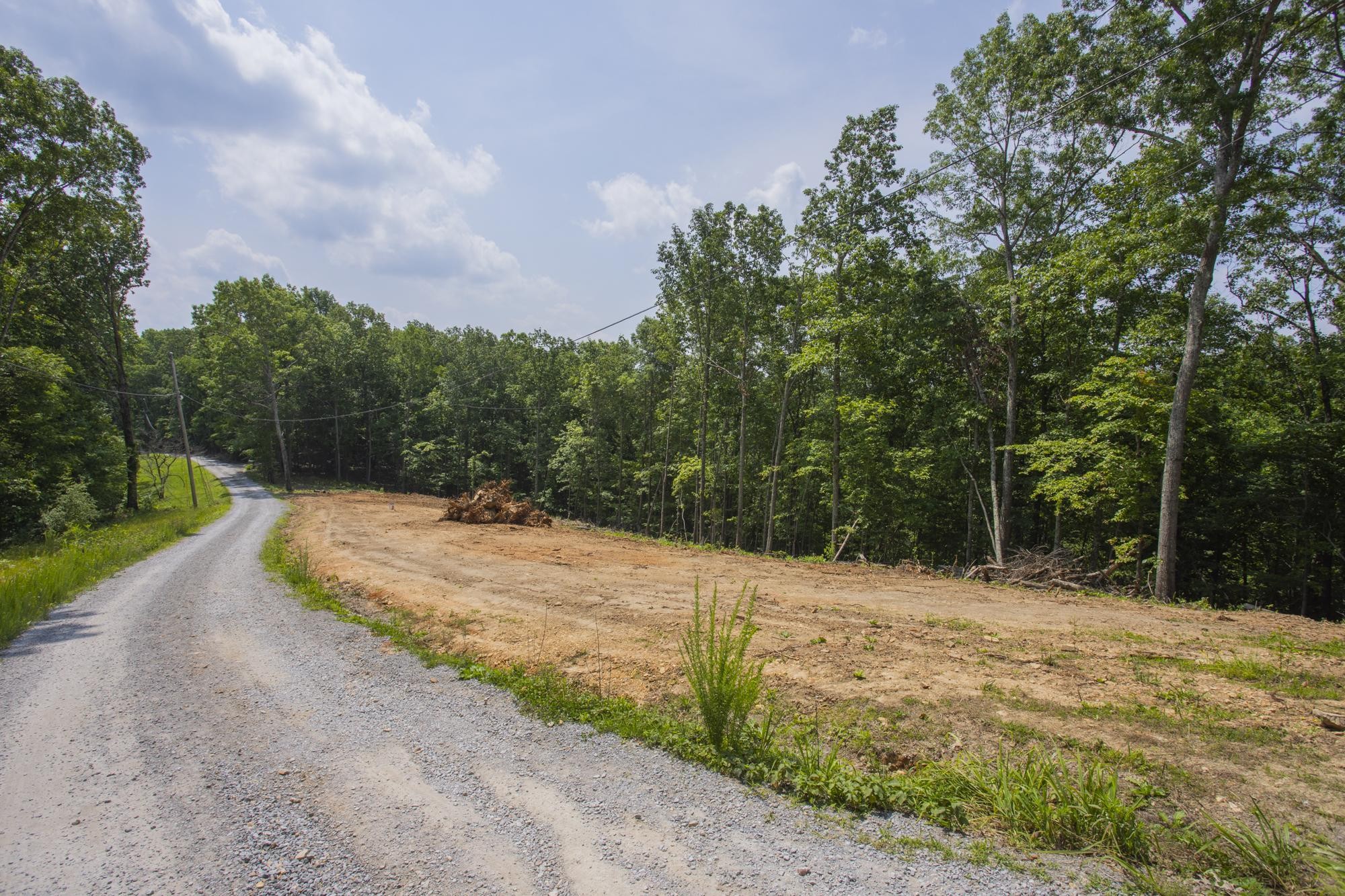 5590 Higdon Road Joelton, TN 37080 - Photo 27 of 40 a backyard of a house with lots of green space