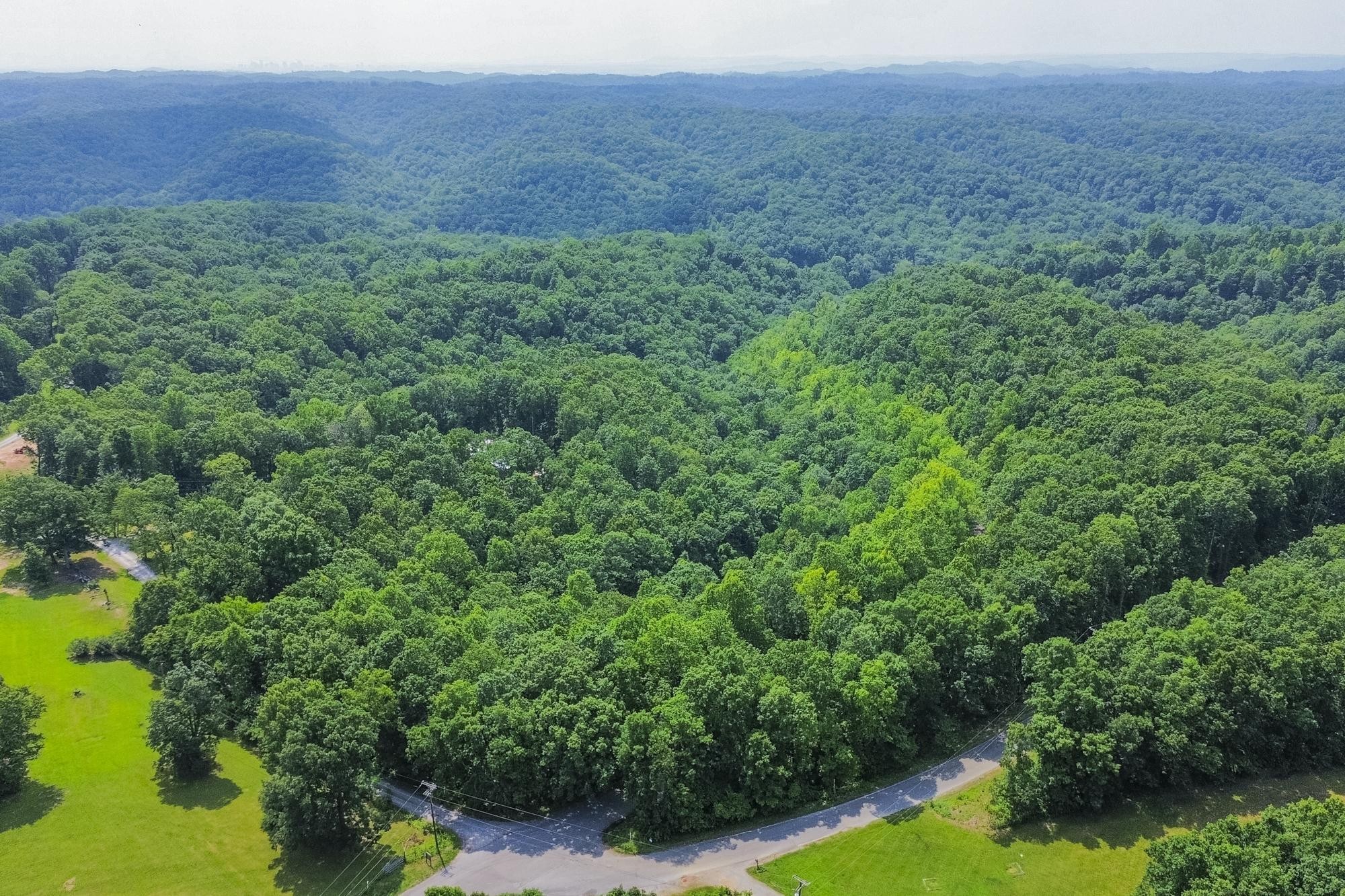 5590 Higdon Road Joelton, TN 37080 - Photo 29 of 40 a view of a large yard with lots of green space