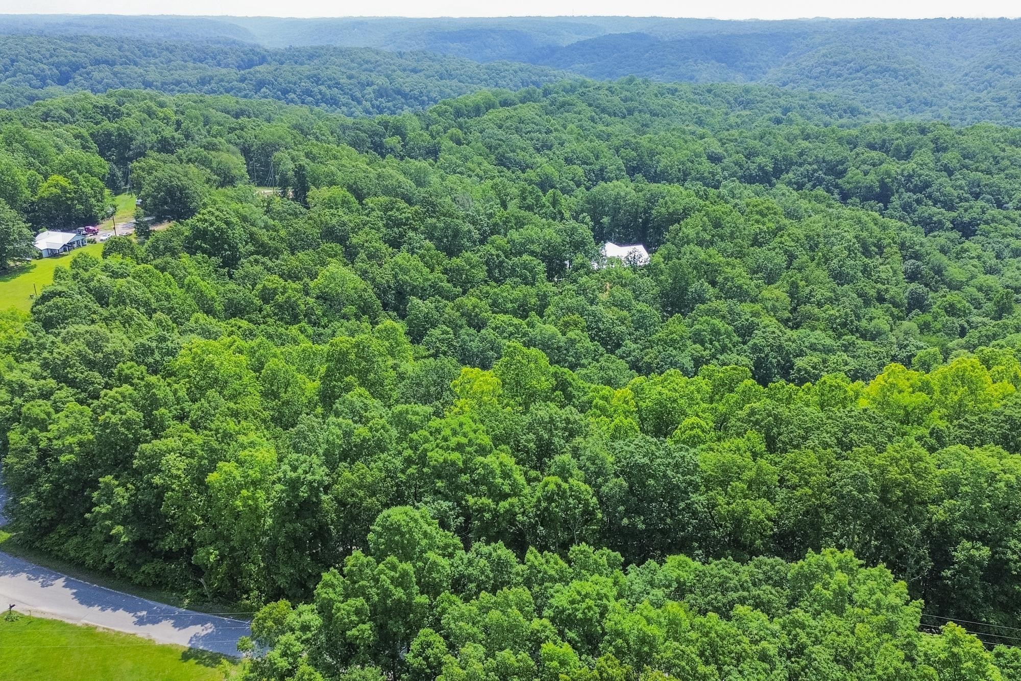 5590 Higdon Road Joelton, TN 37080 - Photo 3 of 40 a view of a lush green forest with trees and some houses