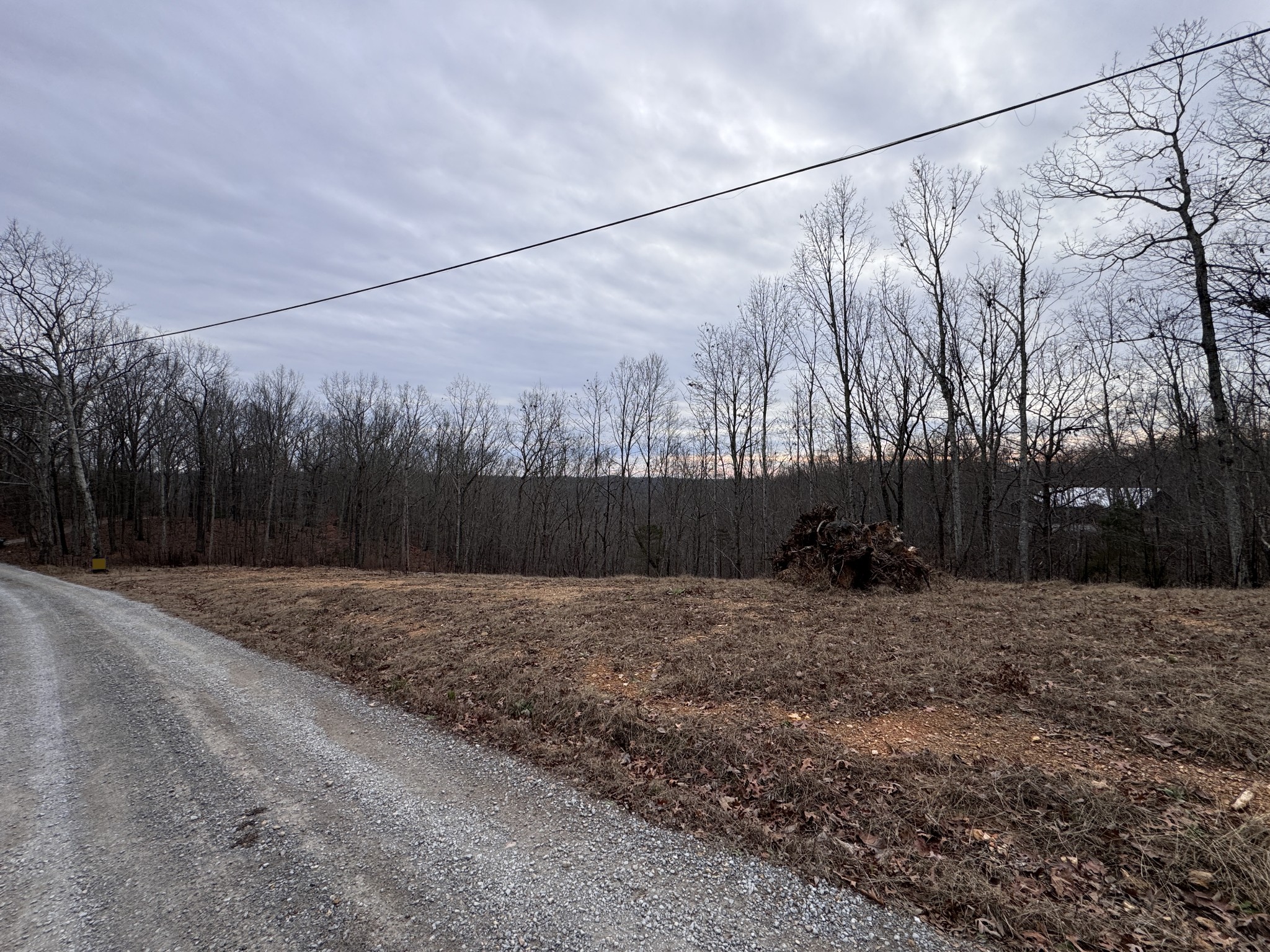 5590 Higdon Road Joelton, TN 37080 - Photo 37 of 40 a backyard of a house