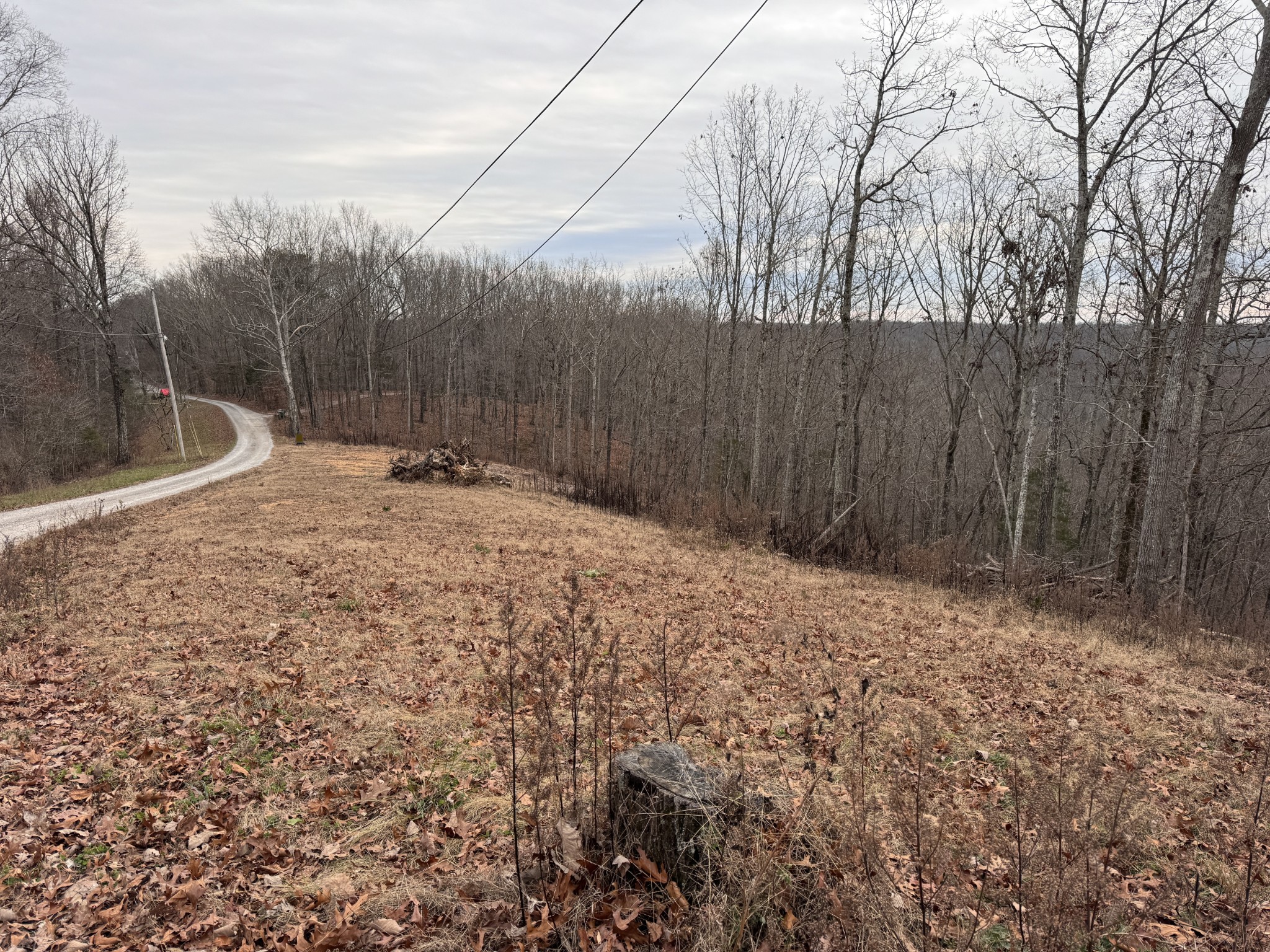 5590 Higdon Road Joelton, TN 37080 - Photo 38 of 40 a backyard of a house