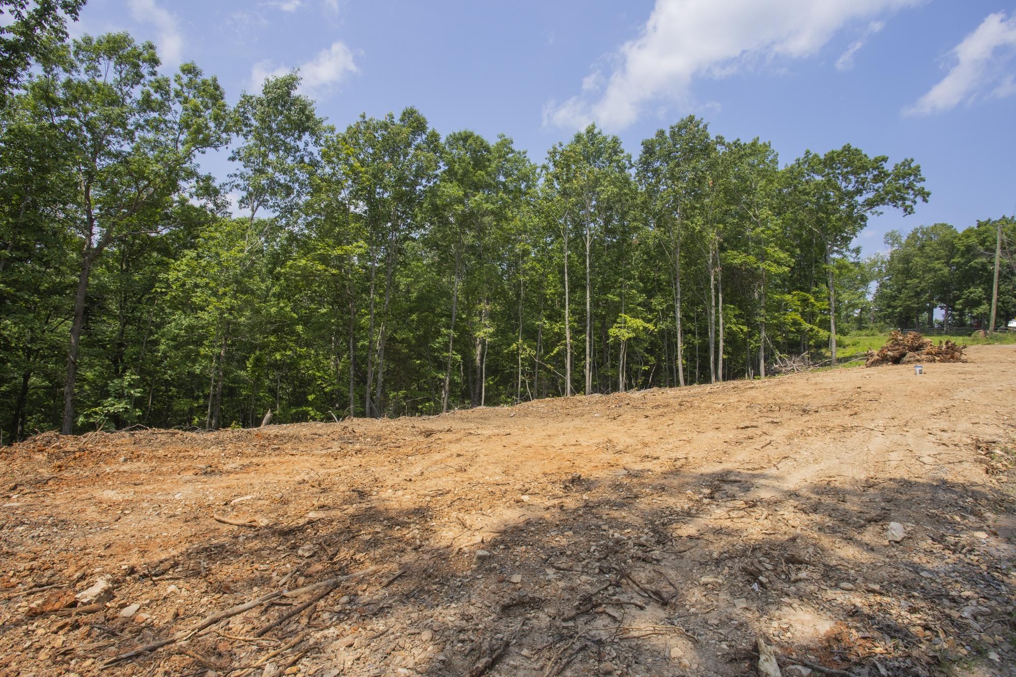5590 Higdon Road Joelton, TN 37080 - Photo 5 of 40 a outdoor space with lots of trees